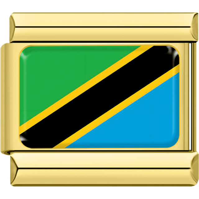 Gold rectangular Italian charm bracelet link featuring the flag of Tanzania, with green and blue triangles divided by a black diagonal band edged in yellow.
